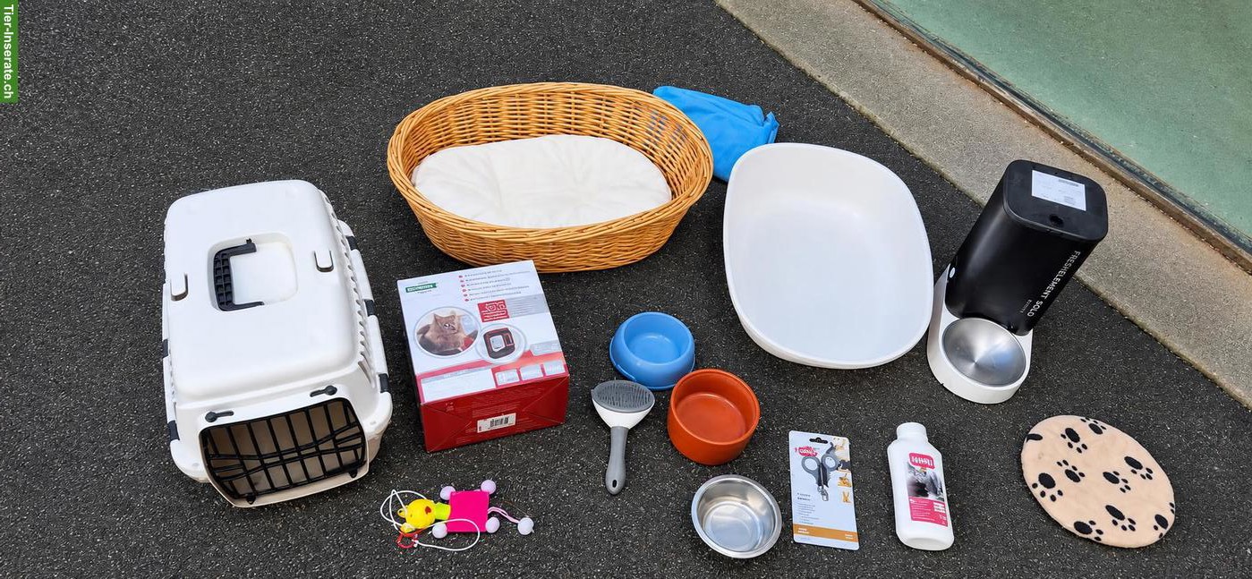 Katzenzubehör Starter-Set zu verkaufen