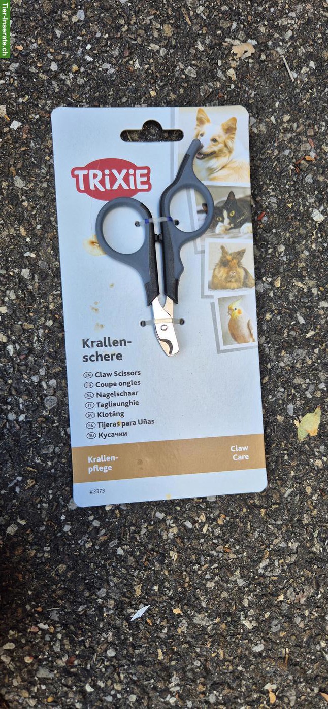 Bild 10: Katzenzubehör Starter-Set zu verkaufen