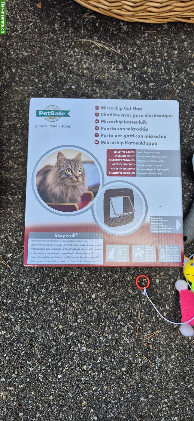 Bild 2: Katzenzubehör Starter-Set zu verkaufen