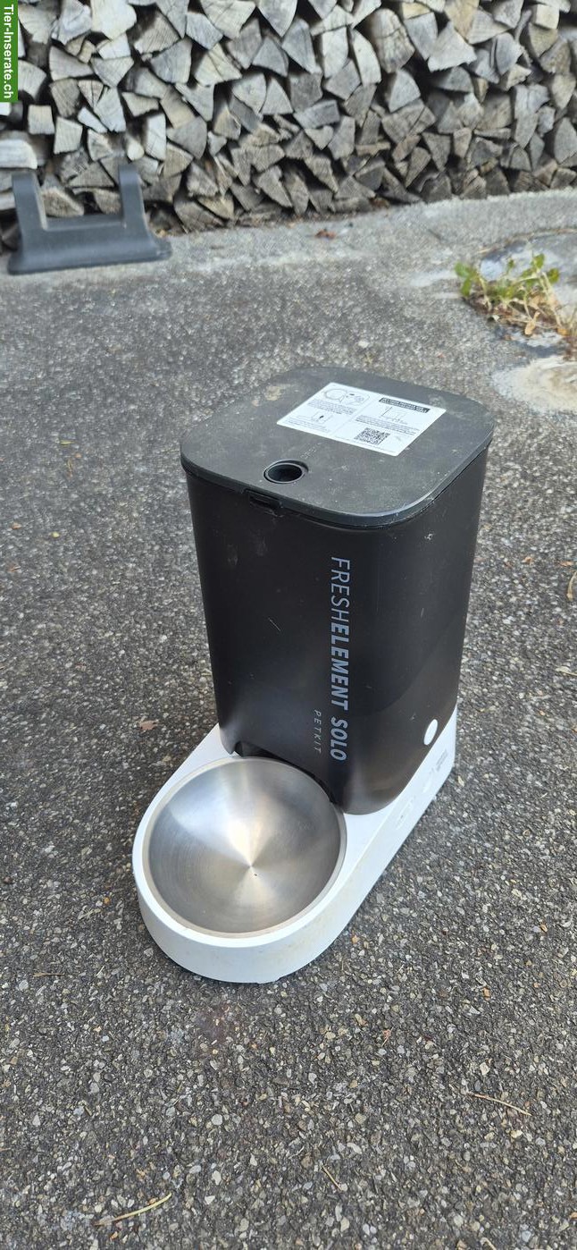 Bild 3: Katzenzubehör Starter-Set zu verkaufen