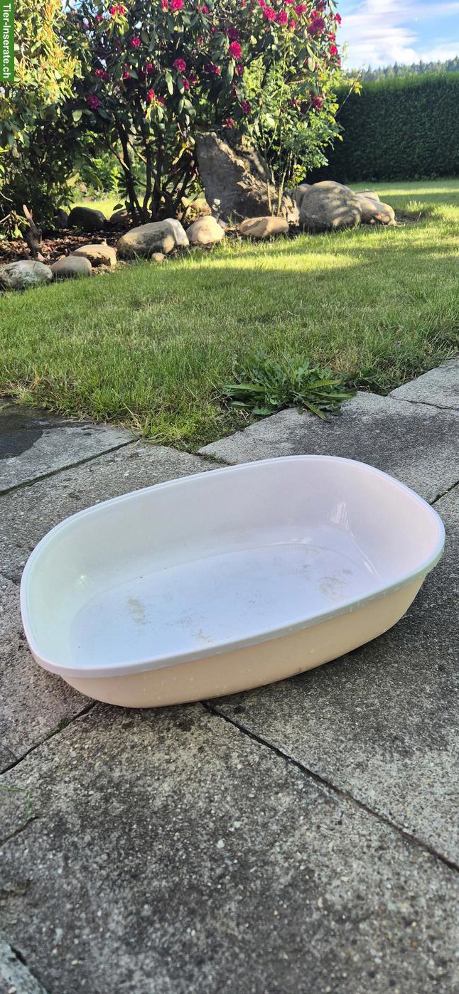 Bild 6: Katzenzubehör Starter-Set zu verkaufen