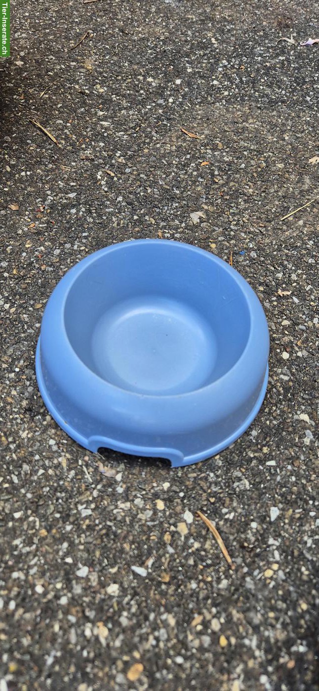 Bild 9: Katzenzubehör Starter-Set zu verkaufen