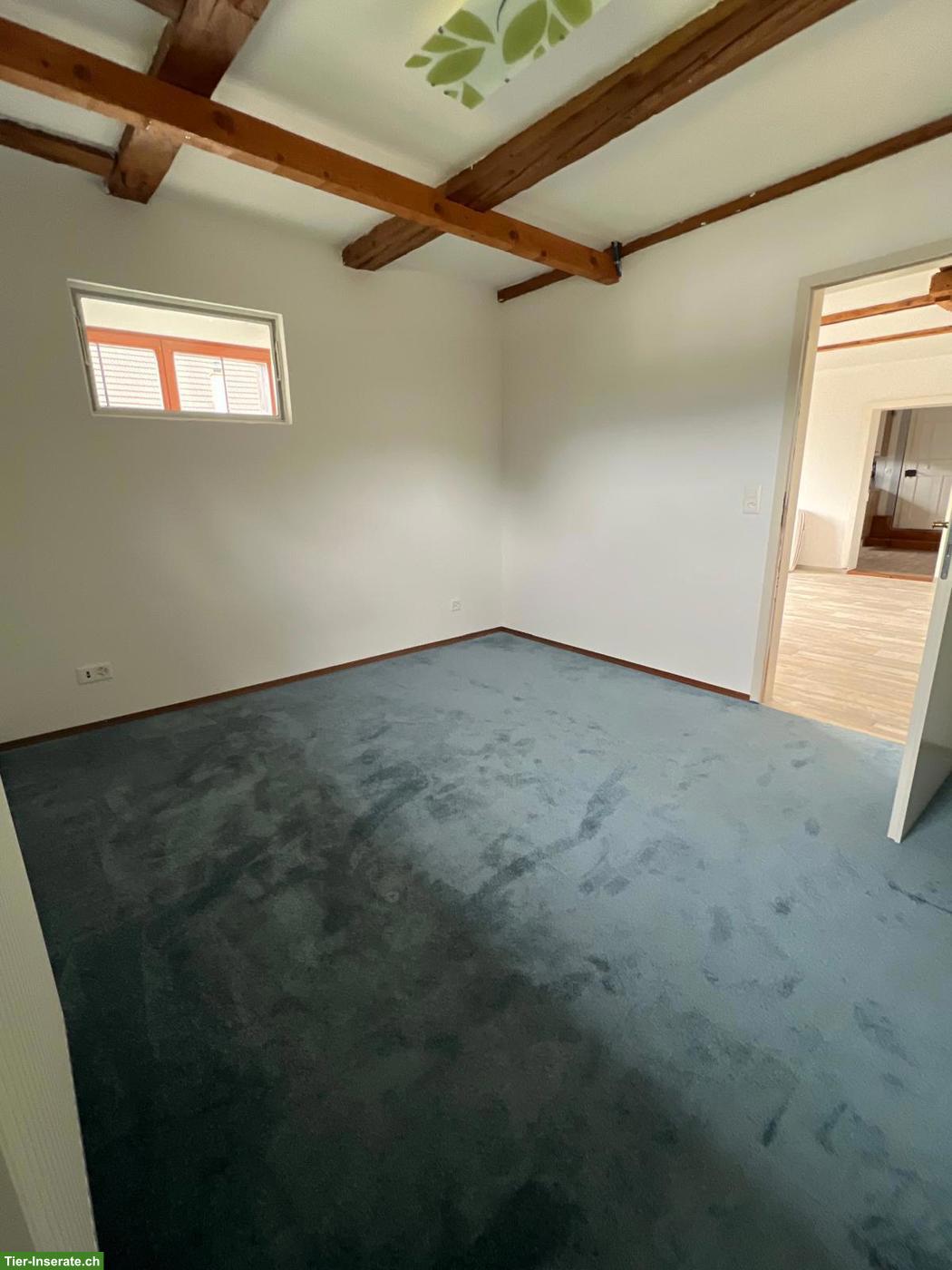 Bild 3: Tierfreundliche Wohnung im Bauernhaus-Anbau mit Balkon & Weitblick