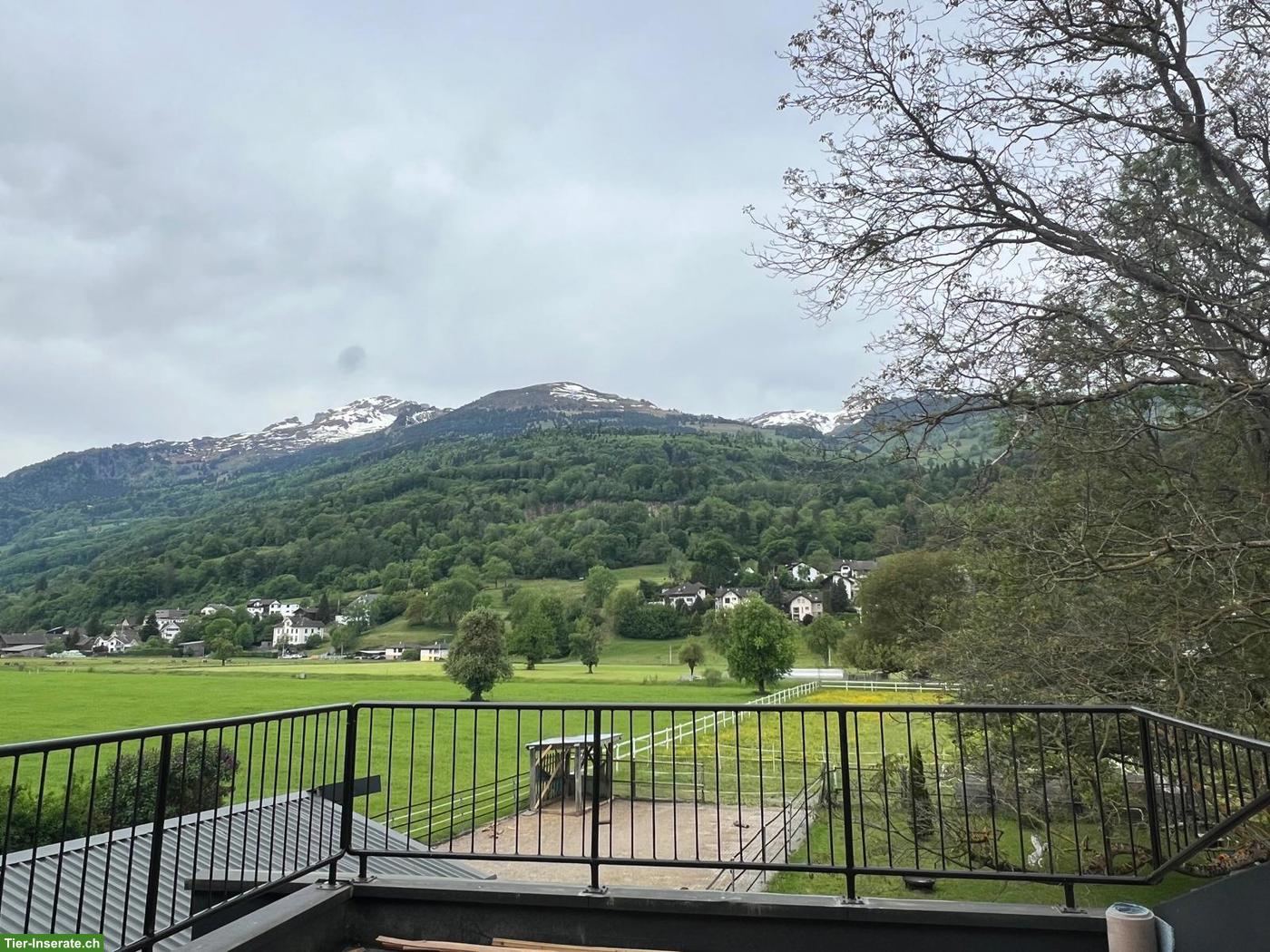 Bild 8: Tierfreundliche Wohnung im Bauernhaus-Anbau mit Balkon & Weitblick