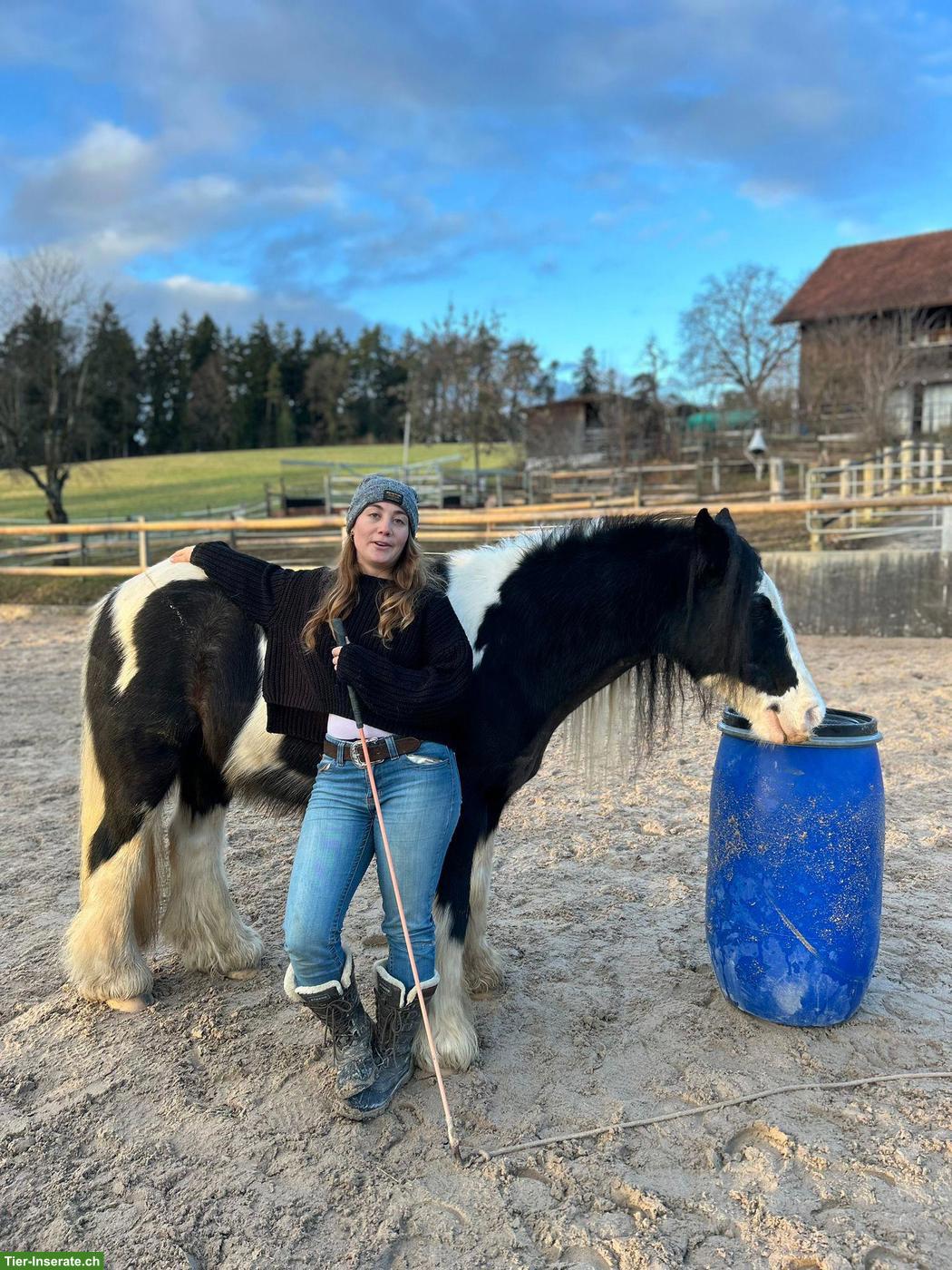 Reitunterricht: Horsemanship Lektionen