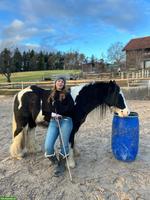 Reitunterricht: Horsemanship Lektionen