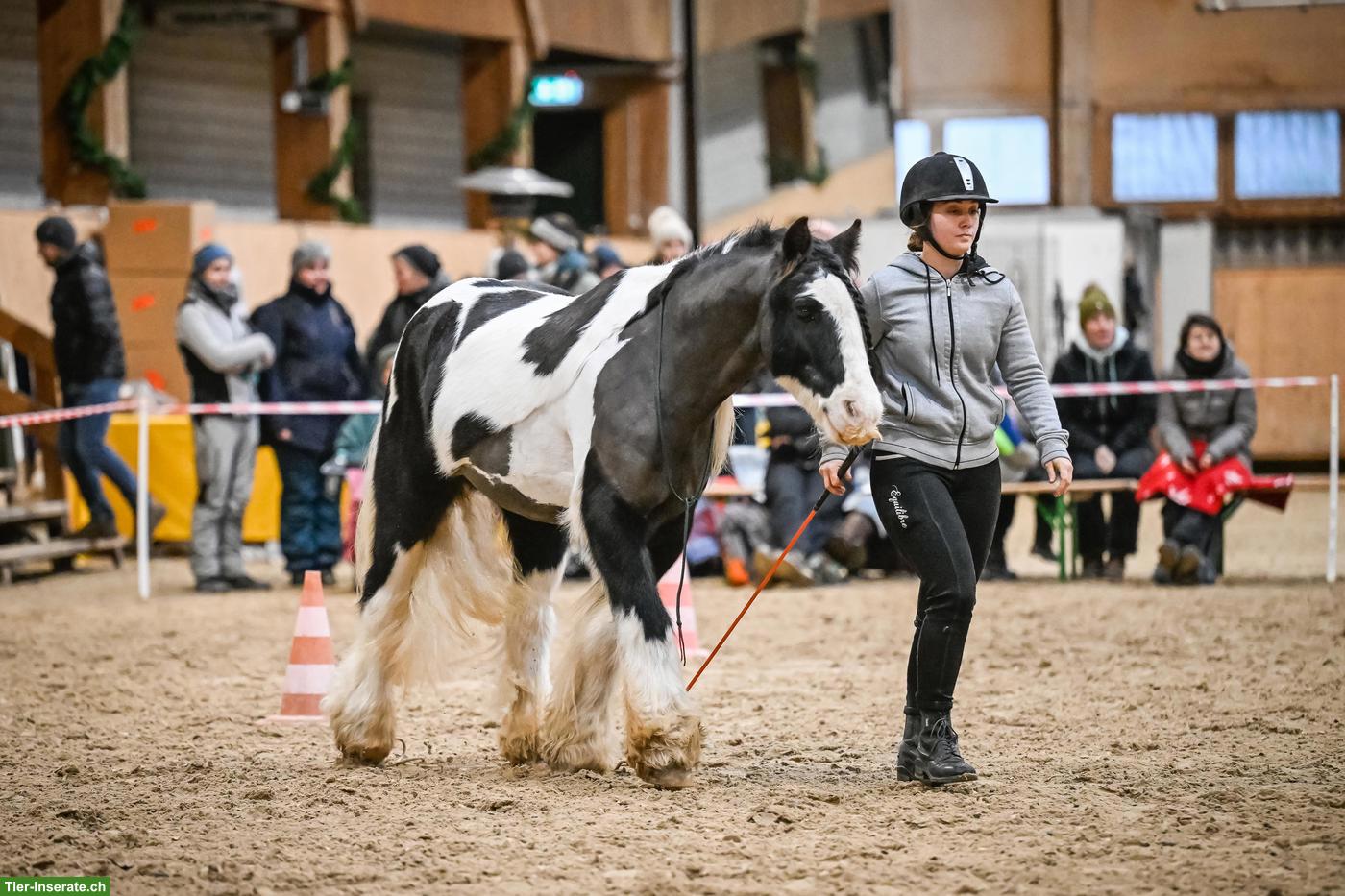 Bild 2: Reitunterricht: Horsemanship Lektionen