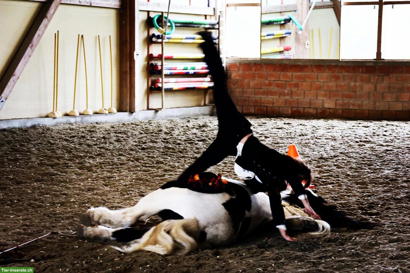 Bild 4: Reitunterricht: Horsemanship Lektionen