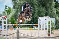 Liebevoller Oldenburger Wallach, 13-jährig, 180cm gross