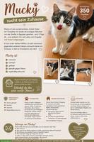 2 verschmuste Katzen suchen zusammen ihren Platz
