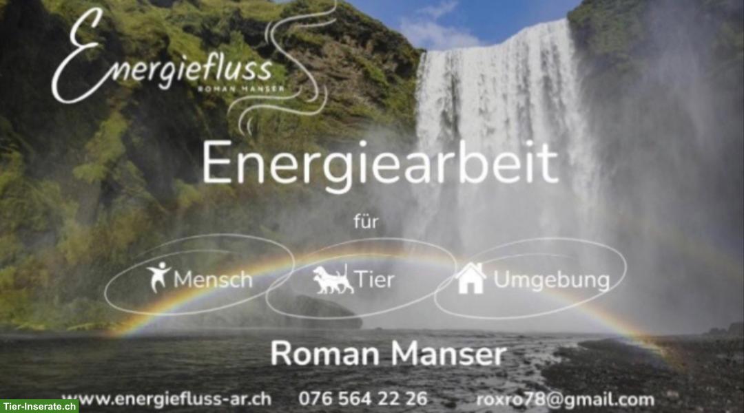 Energiearbeit für Mensch, Tier und Umgebung