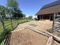 Offenstallplatz frei für Pony/Kleinpferd in Mühlau AG