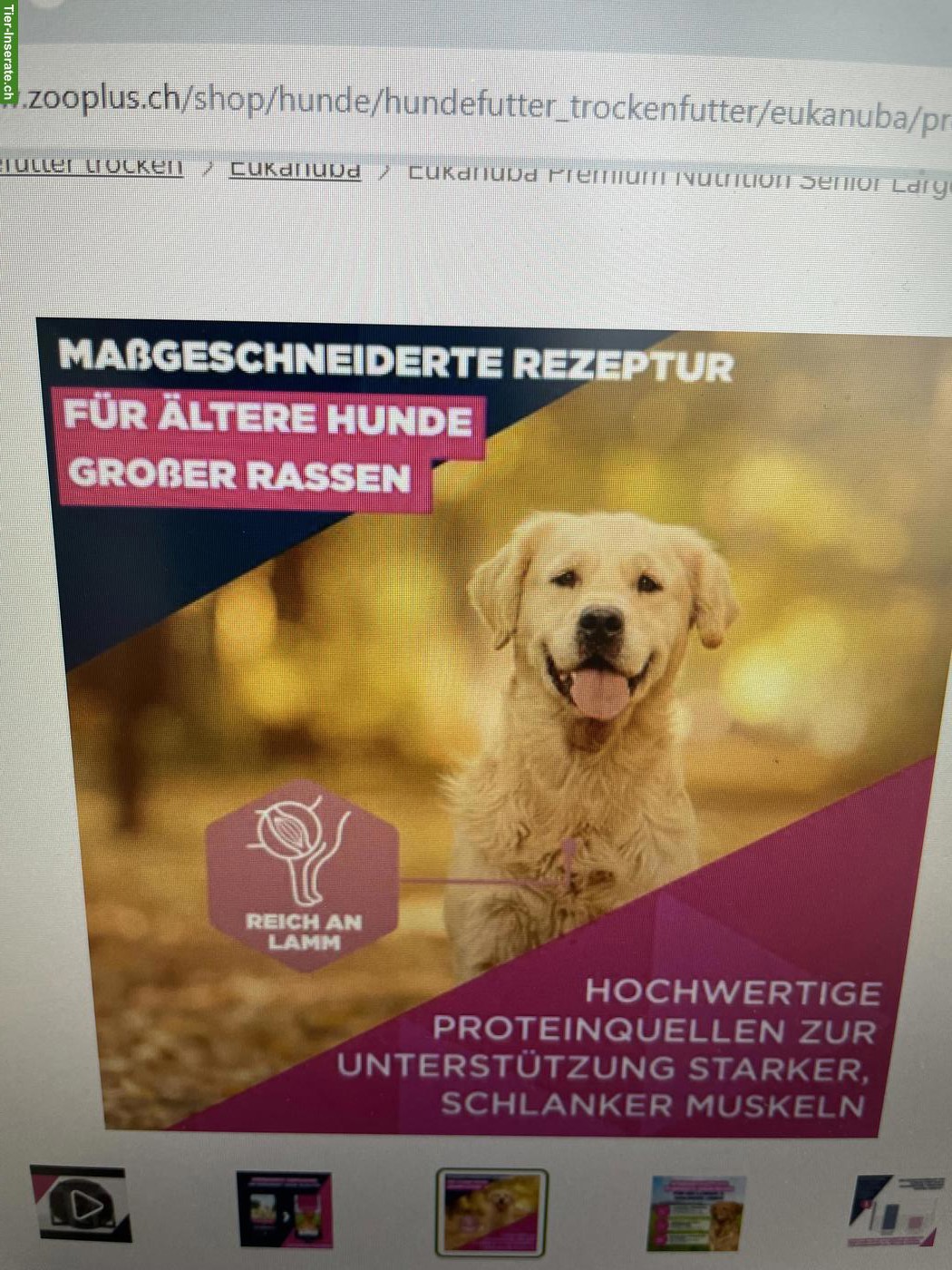 Bild 2: Hundefutter Eukanuba Premium Nutrition Senior