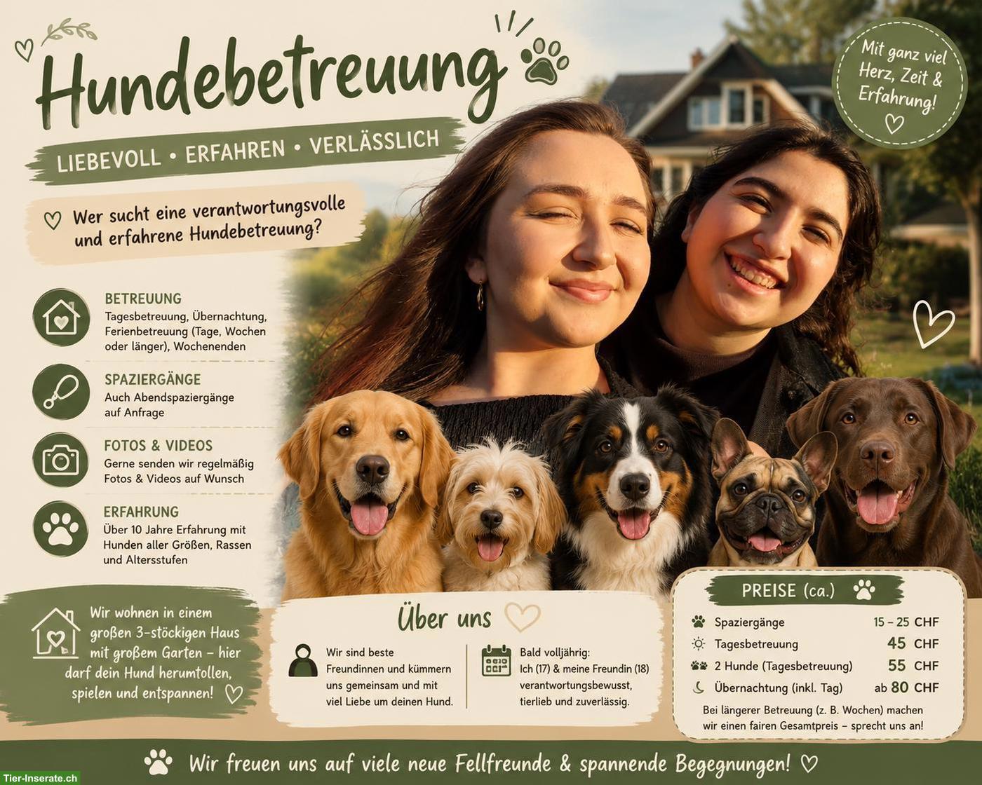 Hundebetreuung: verantwortungsvoll und erfahren 🐶🐾