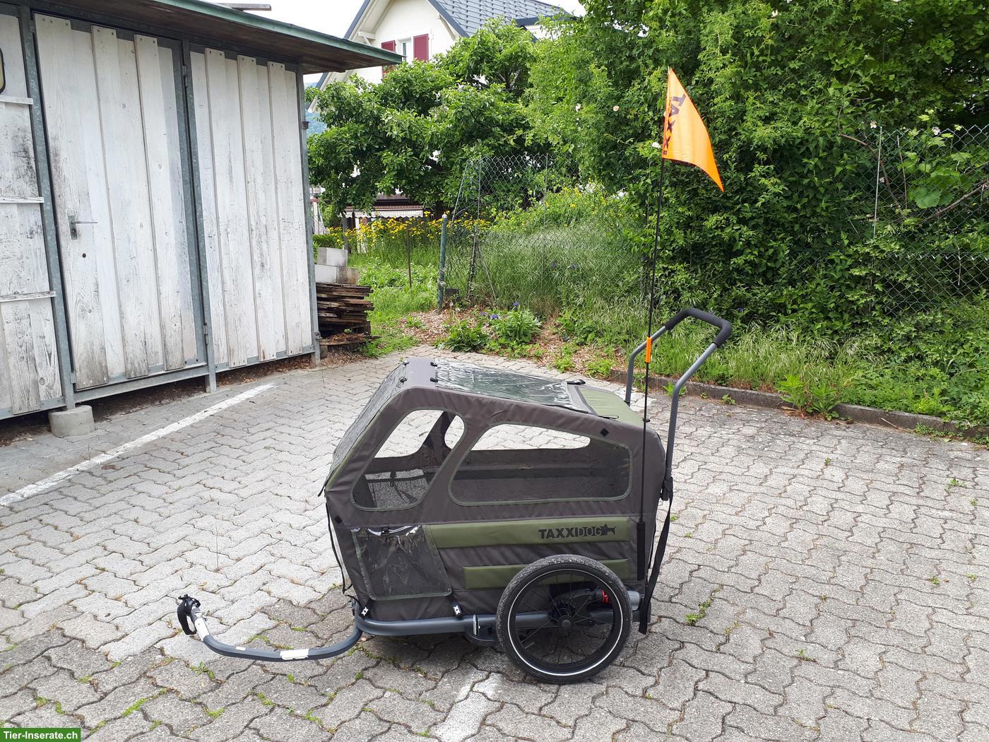 Hundeanhänger Fahrradanhänger Taxxi Dog L zu verkaufen