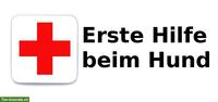 Erste Hilfe Kurs für Hundehalter in Stein AG