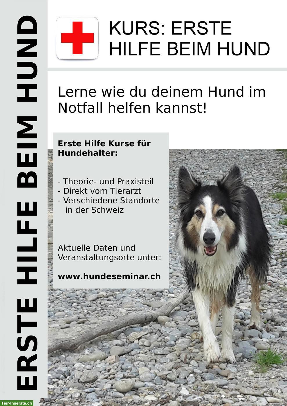 Bild 2: Erste Hilfe Kurs für Hundehalter in Stein AG