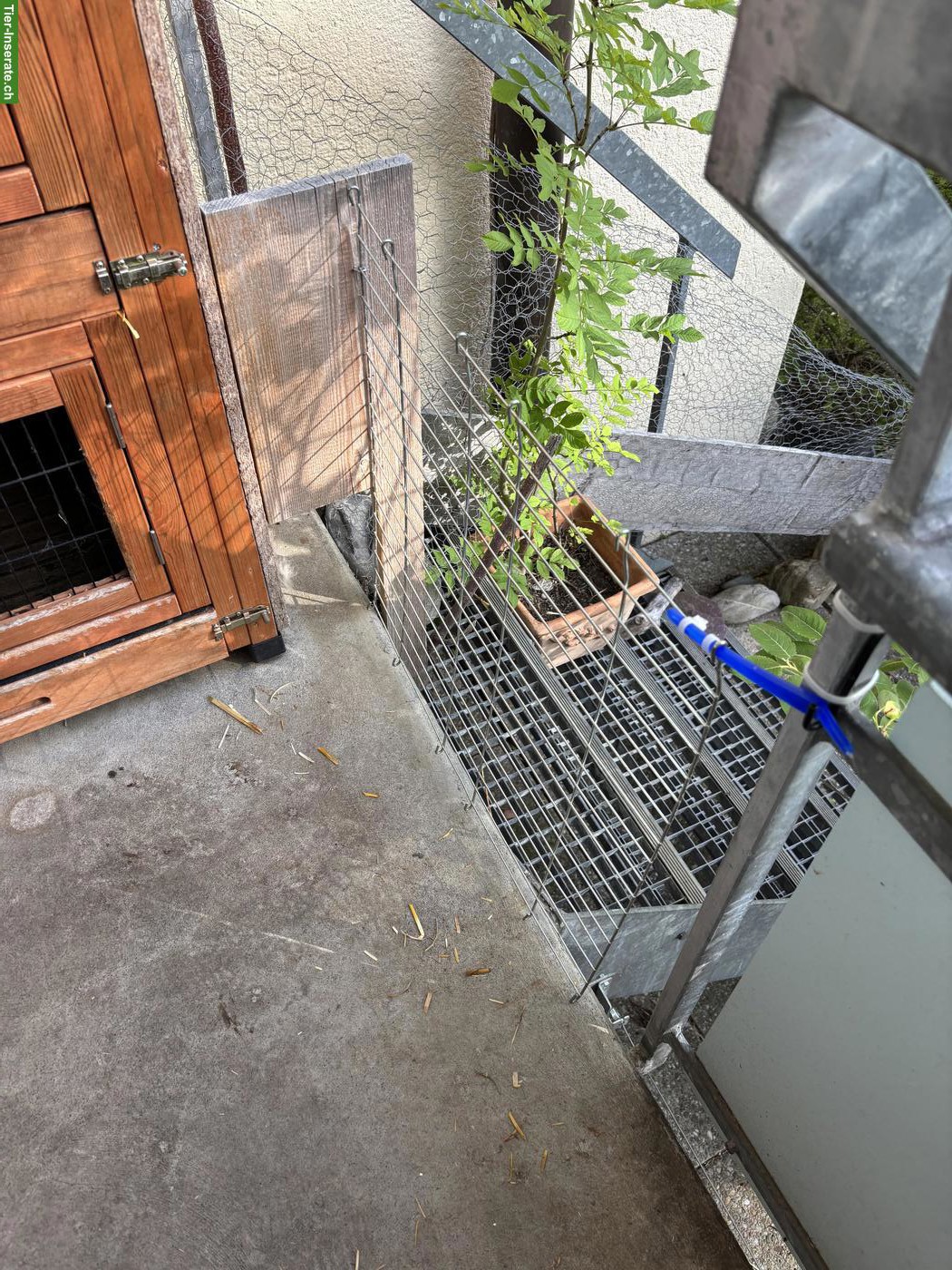 Bild 5: Kaninchenställe indoor & outdoor, Gehege outdoor, Zubehör, Heuvorrat
