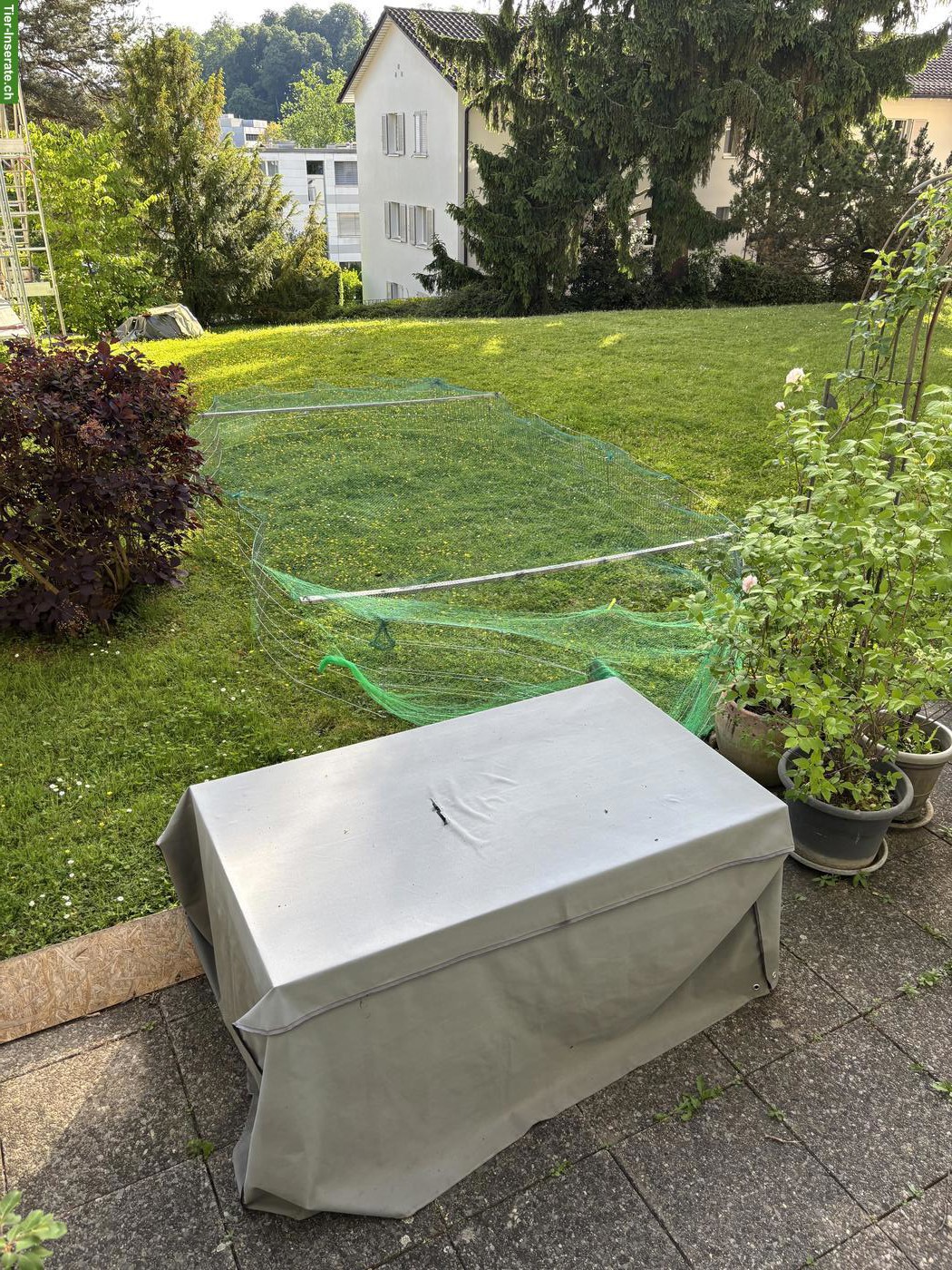 Bild 6: Kaninchenställe indoor & outdoor, Gehege outdoor, Zubehör, Heuvorrat
