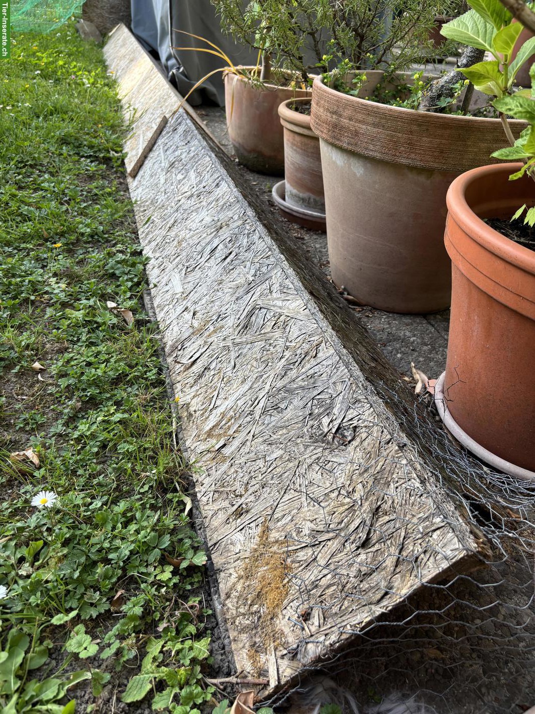 Bild 7: Kaninchenställe indoor & outdoor, Gehege outdoor, Zubehör, Heuvorrat