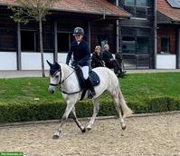 Deutsche Reitpony-Stute: Allrounderin für Sport & Freizeit