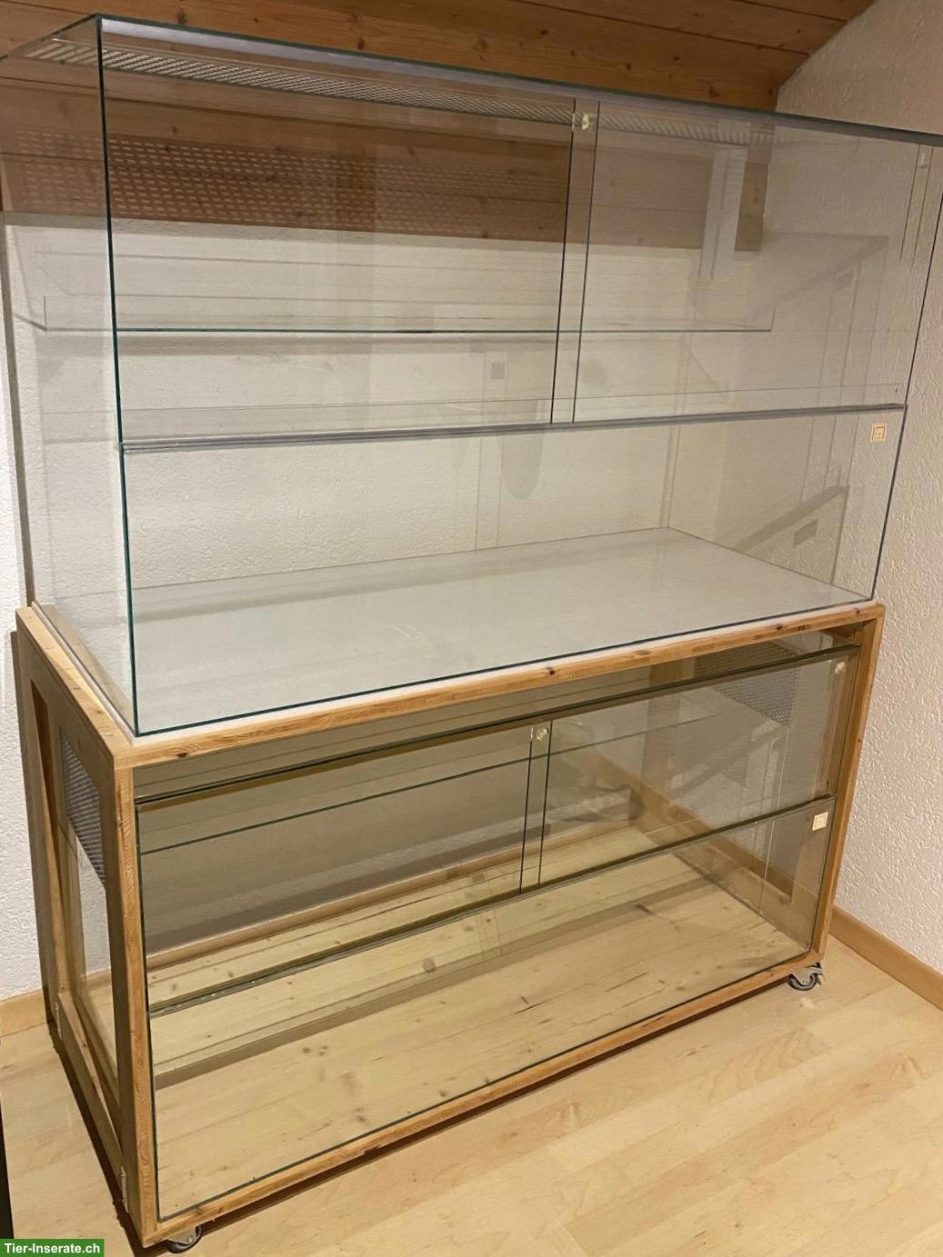 Bild 6: Rennmäuse mit Terrarium & Zubehör