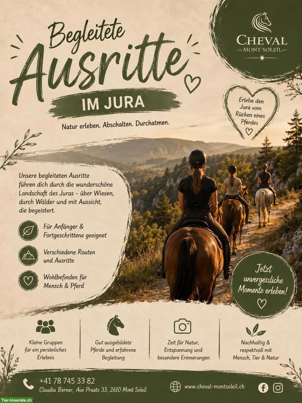 Begleitete Ausritte im Berner Jura: Ruhe, Natur & Pferde erleben