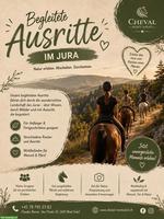 Begleitete Ausritte im Berner Jura: Ruhe, Natur & Pferde erleben
