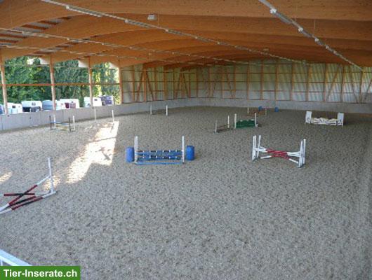 Bild 3: Auslaufboxen frei mit Top Infrastruktur in 6340 Baar LU