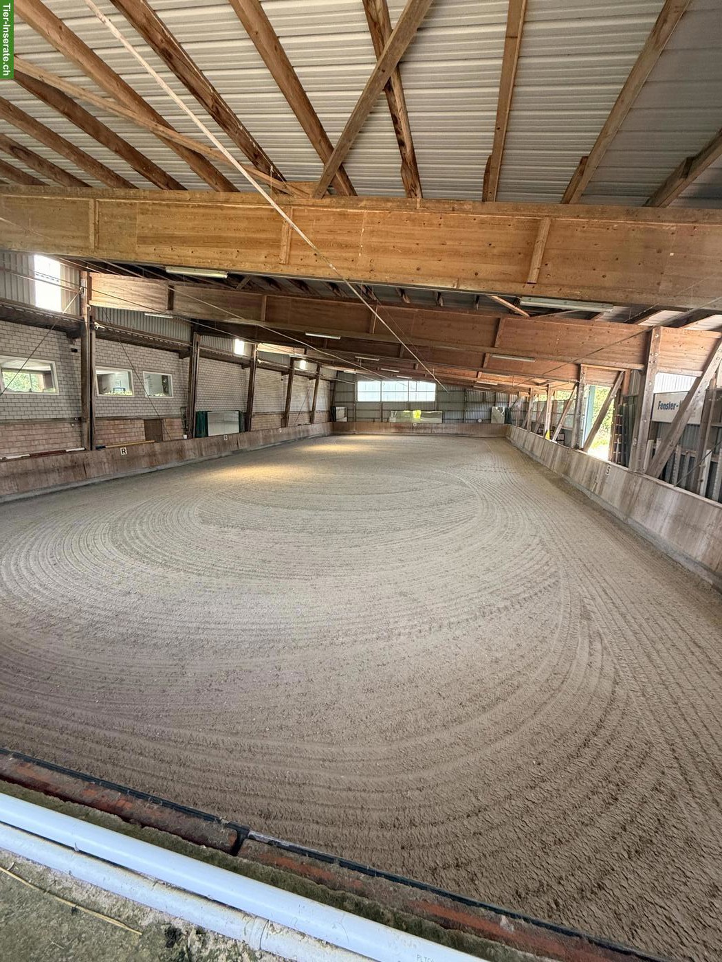 Bild 4: Auslaufboxen frei mit Top Infrastruktur in 6340 Baar LU