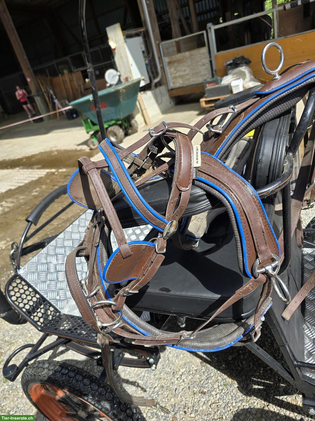 Bild 2: Pony-Buggy (schwarz/orange) mit 18 Zoll Reifen zu verkaufen