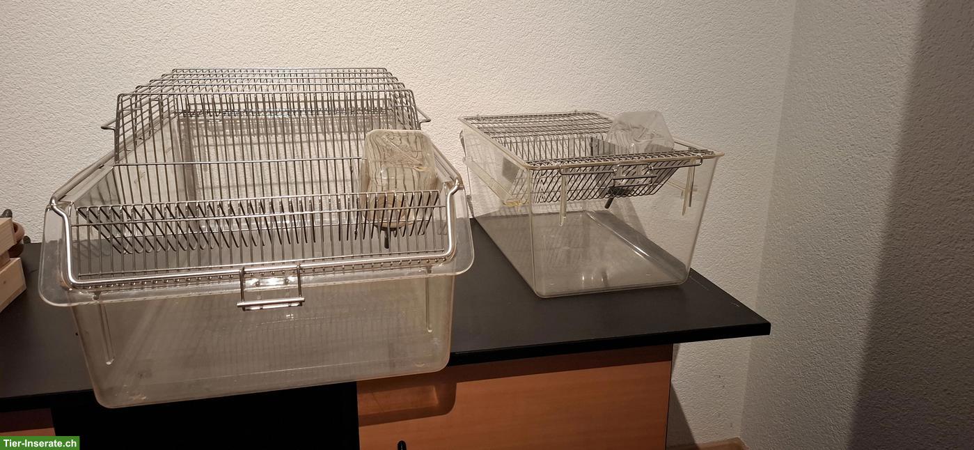 Makrolon Boxen zu verkaufen