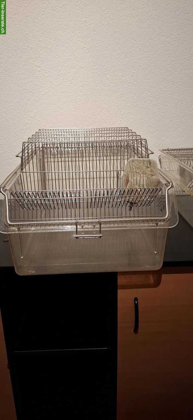 Bild 2: Makrolon Boxen zu verkaufen