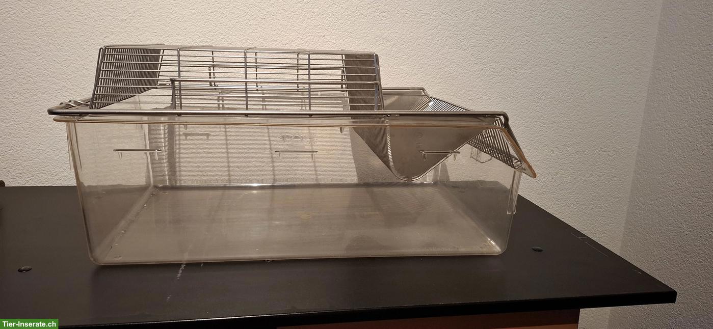 Bild 3: Makrolon Boxen zu verkaufen