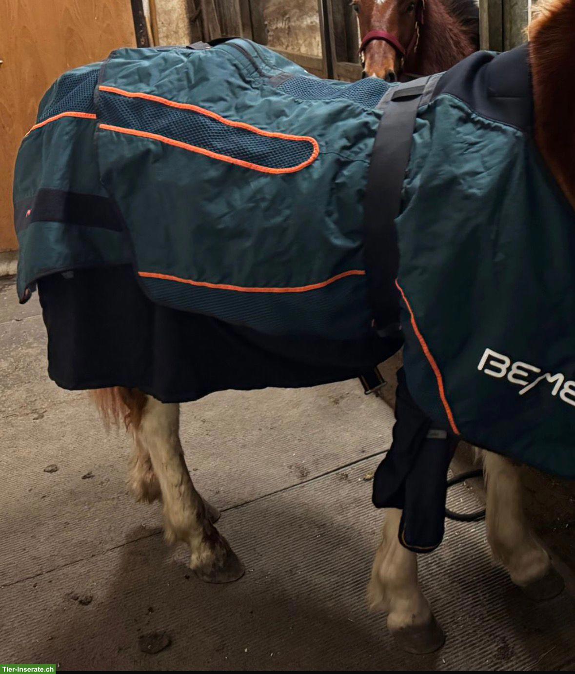Bemer Horse Decke zu verkaufe