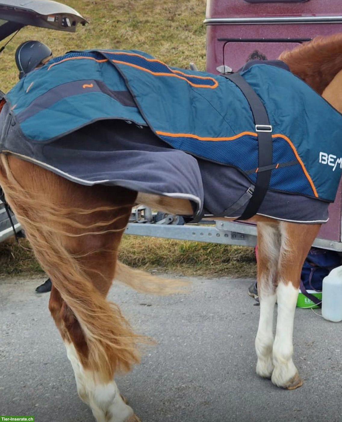 Bild 2: Bemer Horse Decke zu verkaufe