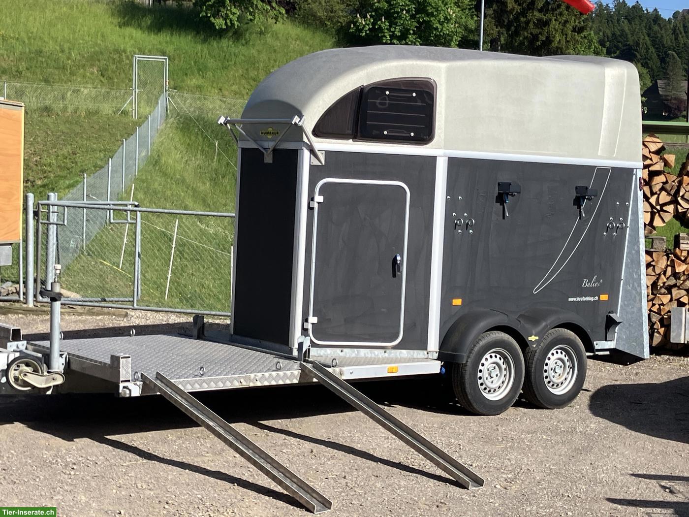 Bild 4: Pferdeanhänger mit Kutschenaufbau zu verkaufen