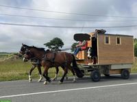 Tiny House auf Rädern zu verkaufen