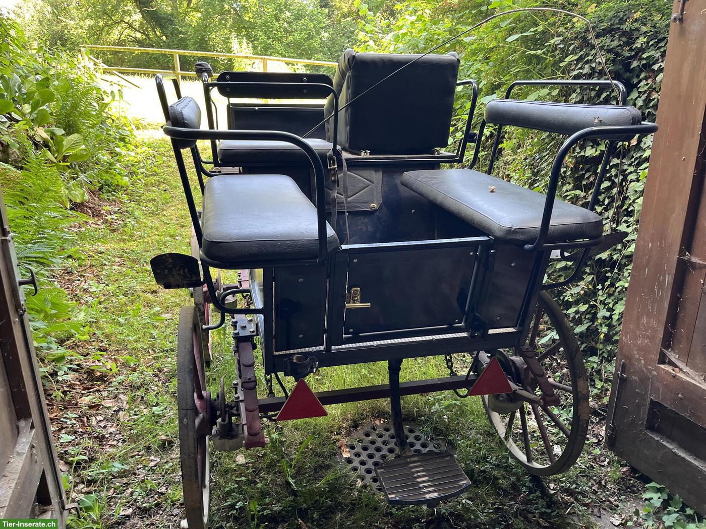 Bild 2: Wagonette Toni Nutt sehr günstig zu verkaufen