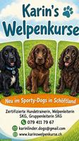 Karin's Welpenkurse im Aargau