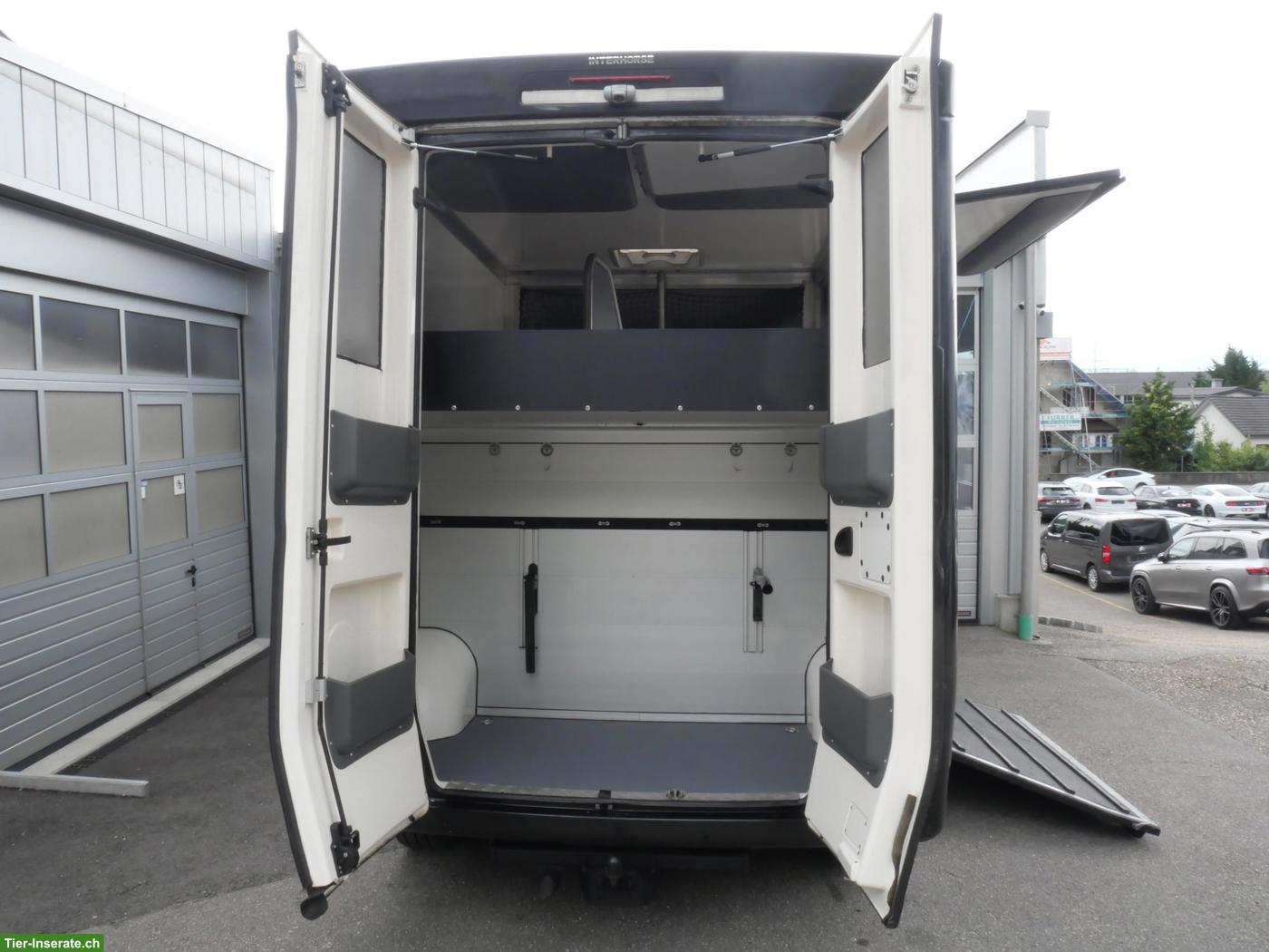 Bild 4: RENAULT Paragan Pferdetransporter Selbstfahrer