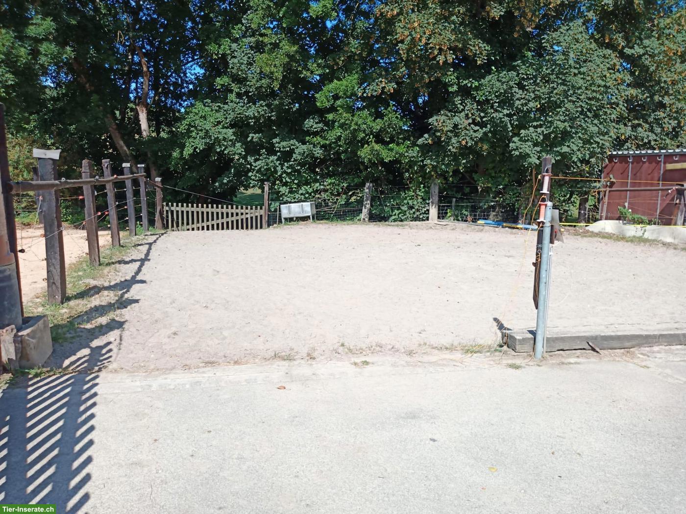 Bild 4: Pferdeauslaufboxen mit direktem Weidegang in Neuwiller im Elsass