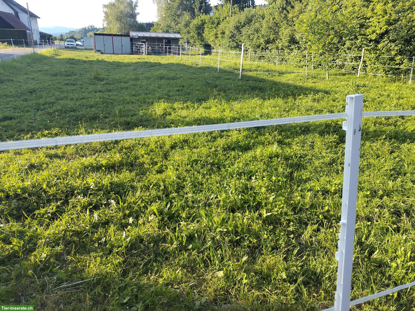 Bild 3: Selbstversorgerstall zu vermieten, Kanton Luzern
