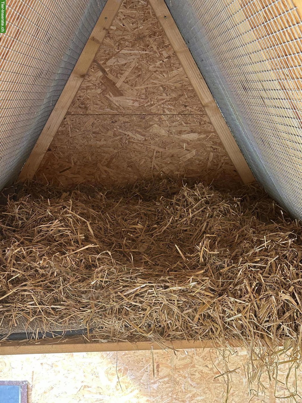 Bild 4: Kaninchen- oder Meerschweinchen-Gehege nach Ruth Morgenegg