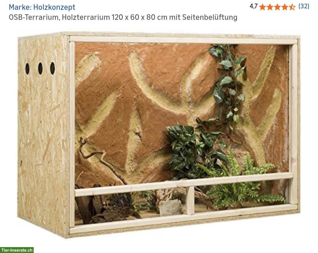OSB Terrarien 120x60x80cm zu verkaufen