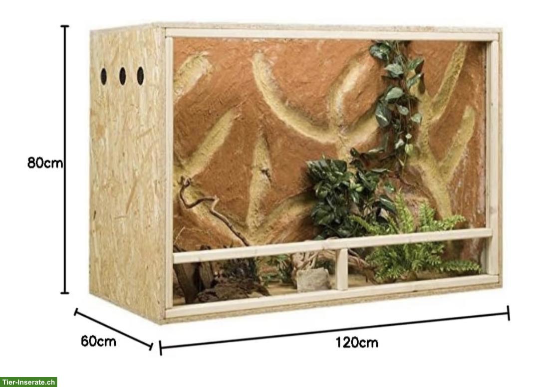 Bild 3: OSB Terrarien 120x60x80cm zu verkaufen