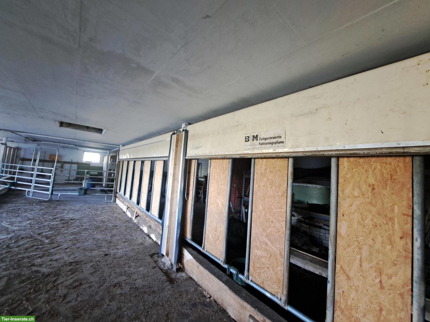 Bild 3: Offenstallplatz in der Region Winterthur/Frauenfeld