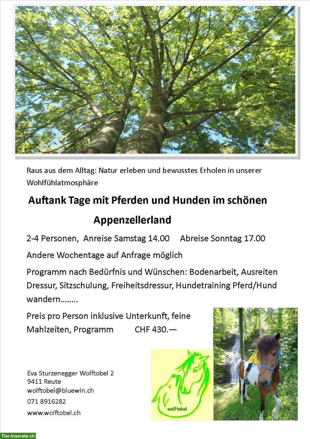Auftanktage im Appenzellerland: Natur, Pferde & Hunde erleben