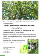 Auftanktage im Appenzellerland: Natur, Pferde & Hunde erleben