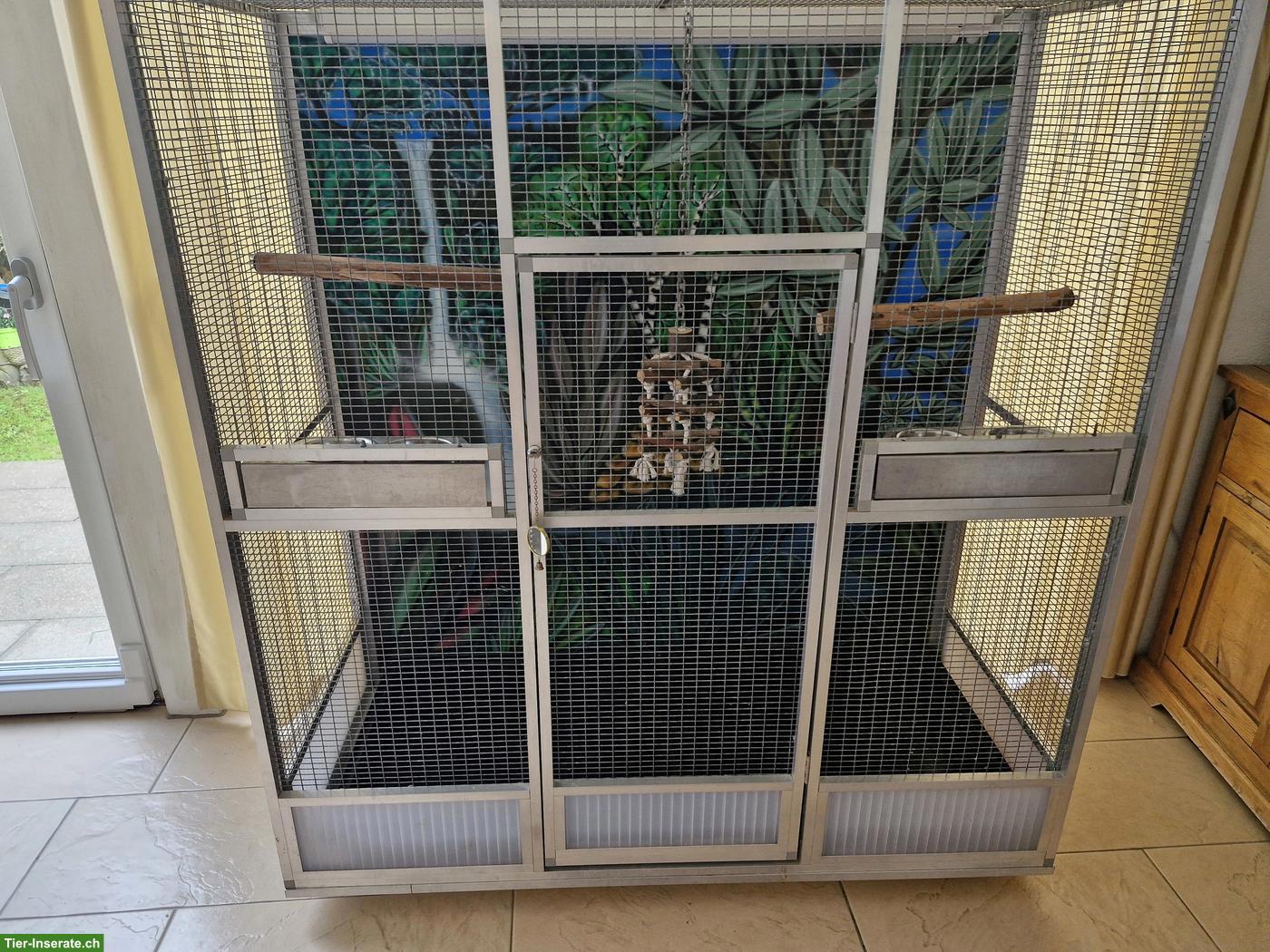 Bild 6: Grosse Vogelvoliere mit schöner Gemälde-Rückwand